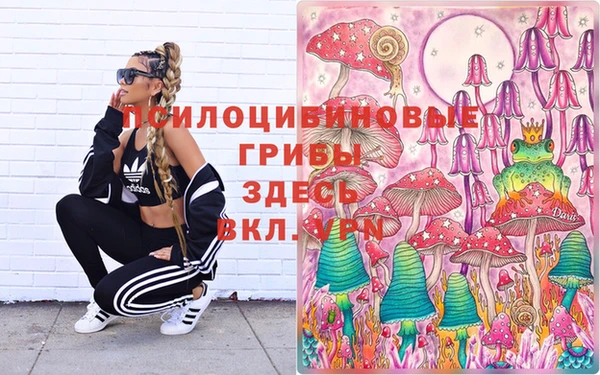 стафф Абинск