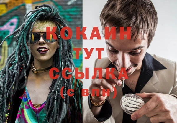 крисы Алексин