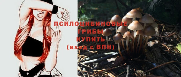 ешки Абаза